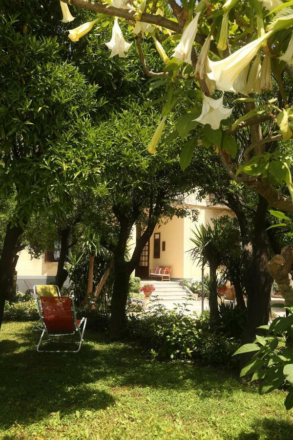 Villa Elide ヴィーコ・エクエンセ エクステリア 写真
